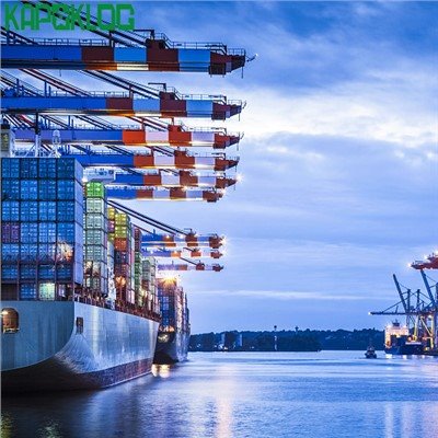 DDP高速海上貨物中国貨物運送業者