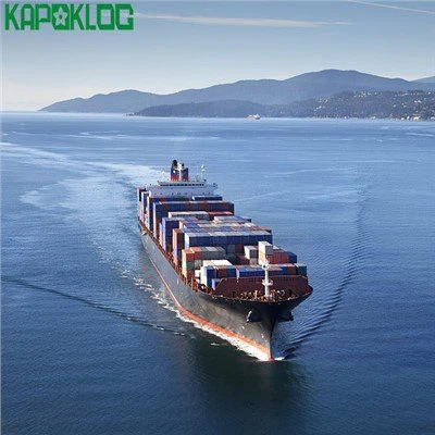 イスラエルの貨物貨物貨物貨物貨物貨物輸送業者の航空/海/高速貨物